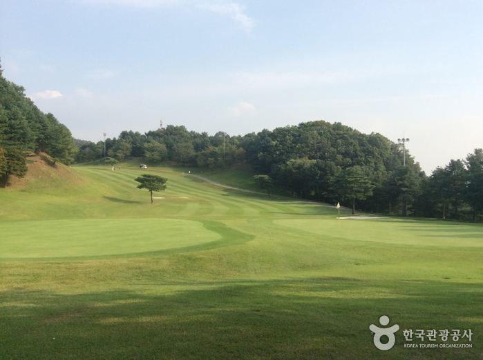 뉴서울CC 코스 사진