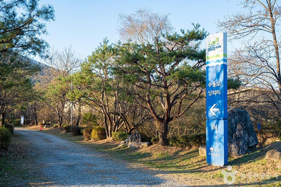 수풀로 삼회리